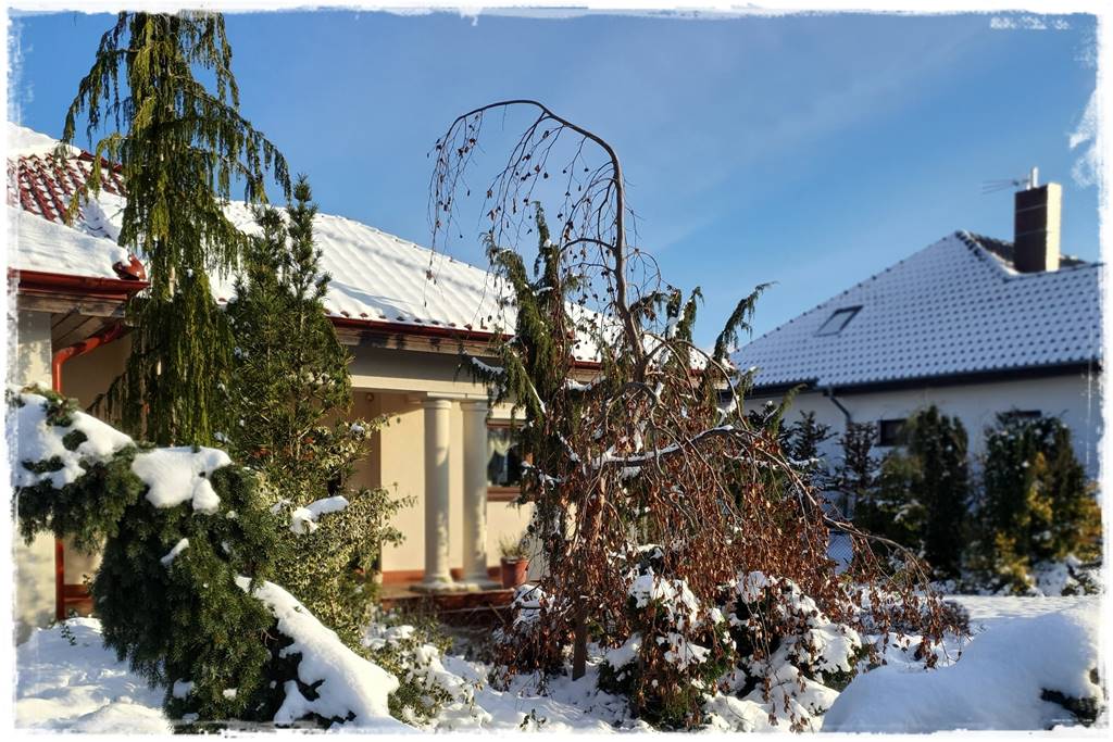 Ogród piękny zimą 30c