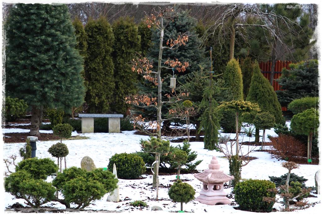 Ogród piękny zimą 30e