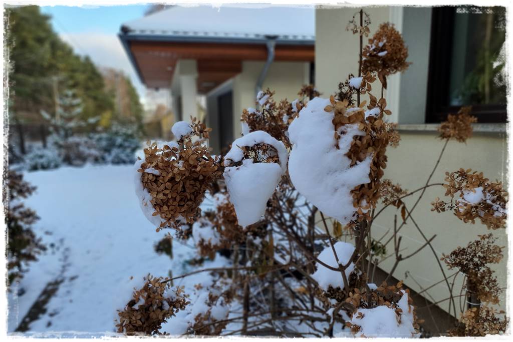 Ogród piękny zimą 60c
