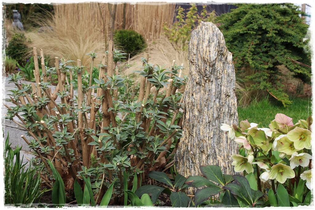 Ogród piękny zimą 70b