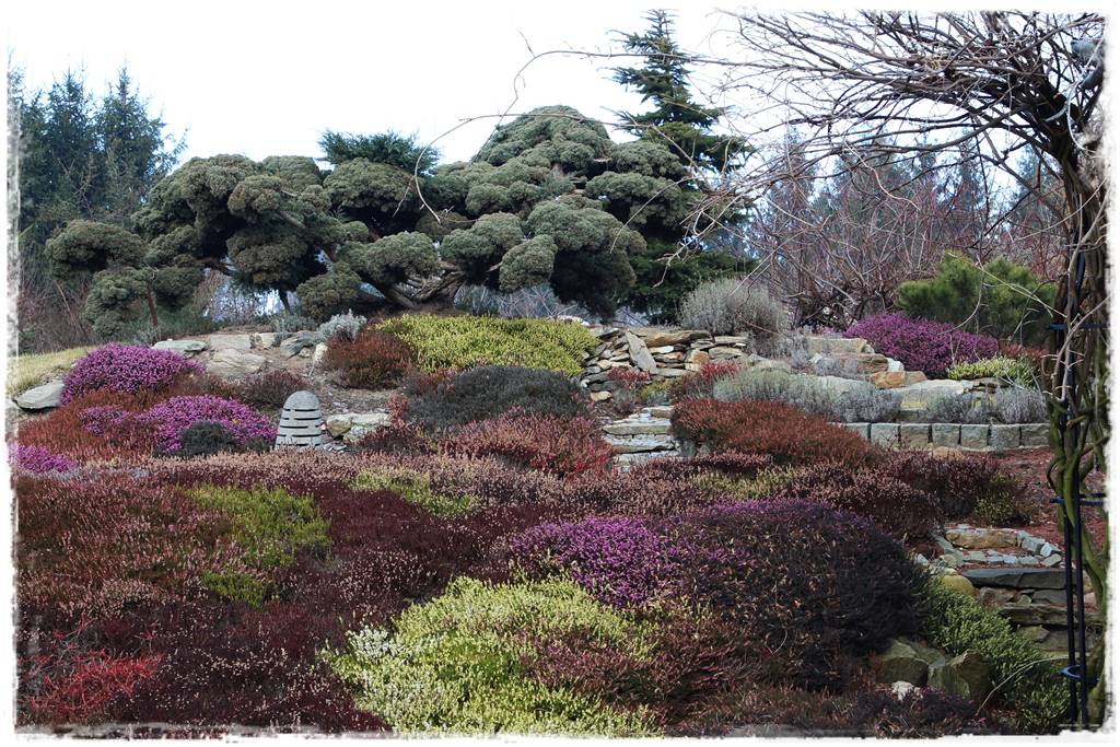 Ogród piękny zimą 70e