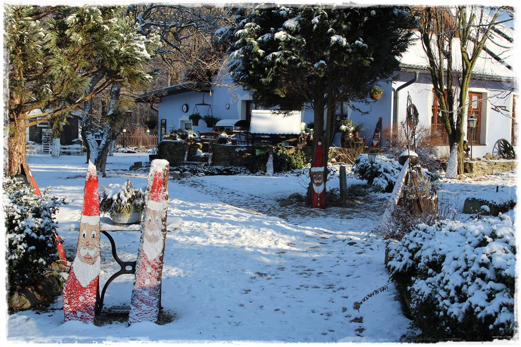 Ogród piękny zimą 80