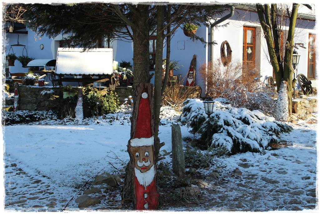 Ogród piękny zimą 80a