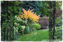 Ogród w stylu angielskim 1