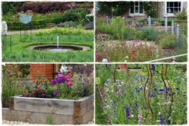 Rośliny jednoroczne aranżacje 0