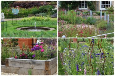 Rośliny jednoroczne aranżacje 0