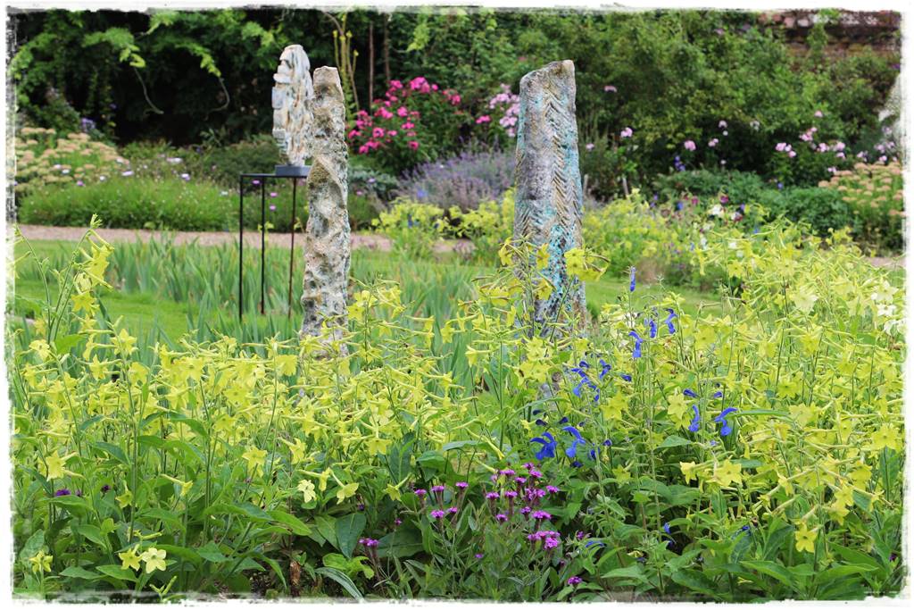 Rośliny jednoroczne aranżacje 1d Rośliny jednoroczne aranżacje 1d