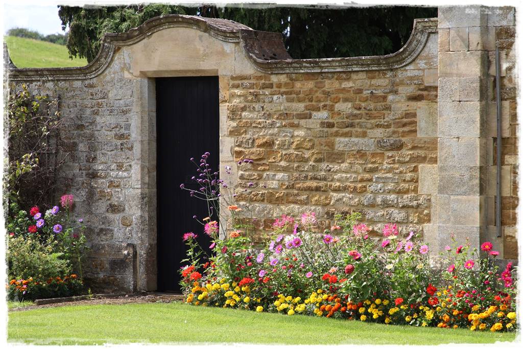 Rośliny jednoroczne aranżacje 2 Rośliny jednoroczne aranżacje 2
