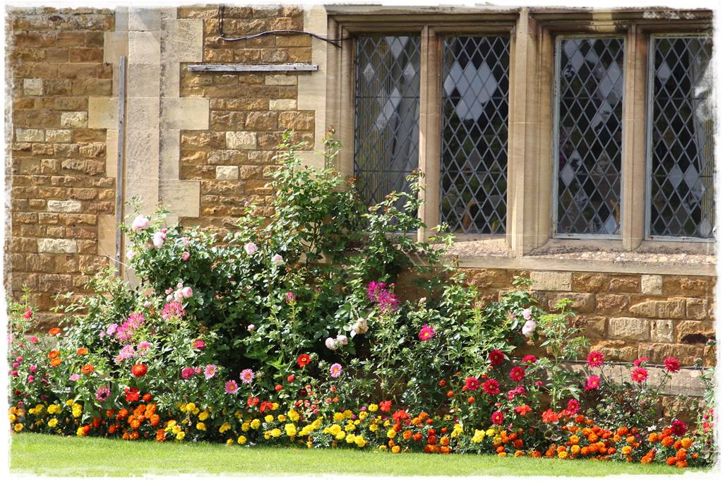 Rośliny jednoroczne aranżacje 2a Rośliny jednoroczne aranżacje 2a