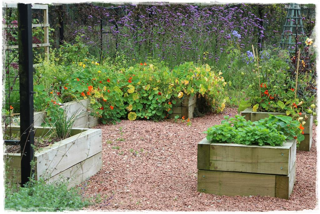 Rośliny jednoroczne aranżacje 3a Rośliny jednoroczne aranżacje 3a