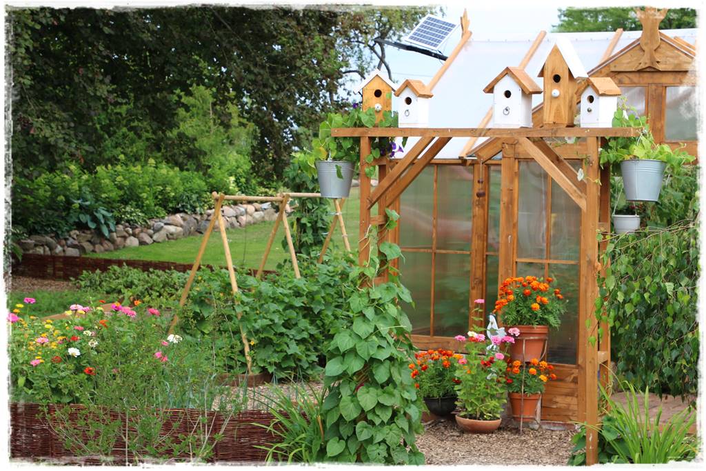 Rośliny jednoroczne aranżacje 3e Rośliny jednoroczne aranżacje 3e