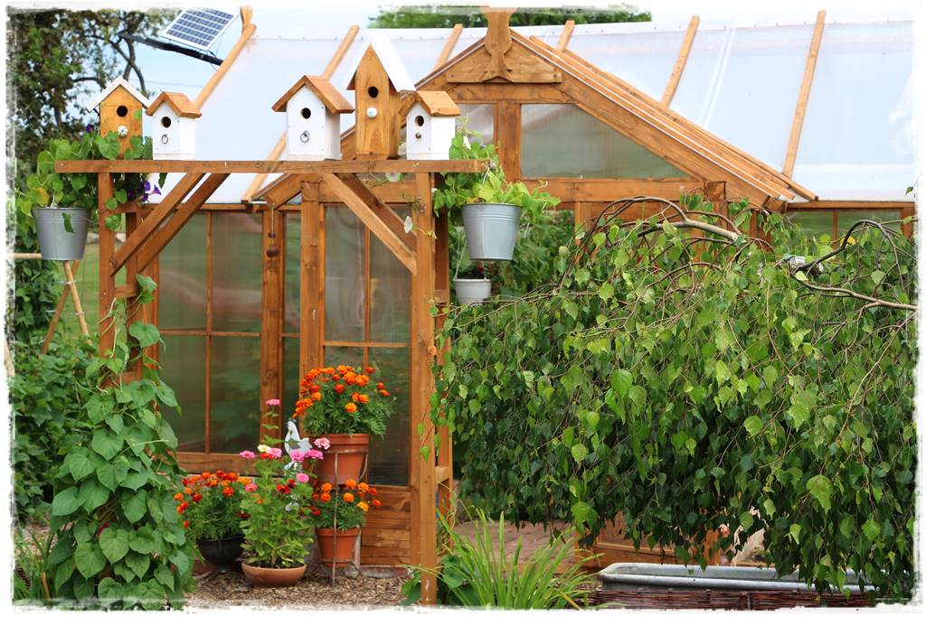 Rośliny jednoroczne aranżacje 3g Rośliny jednoroczne aranżacje 3g