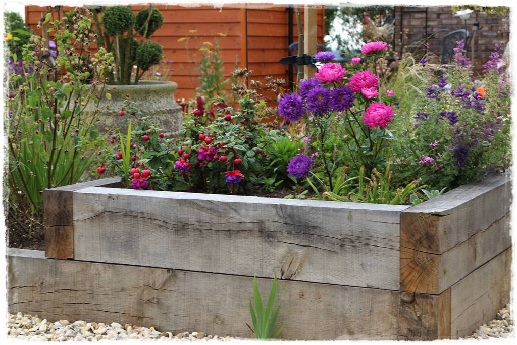 Rośliny jednoroczne aranżacje 4 Rośliny jednoroczne aranżacje 4