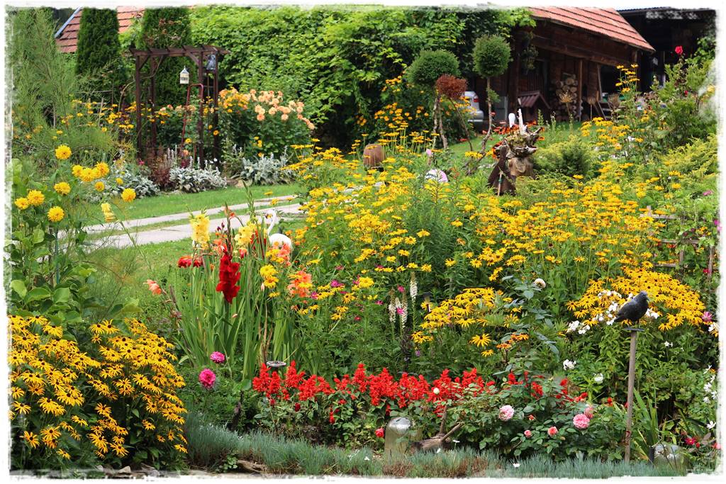 Rośliny jednoroczne aranżacje 5d Rośliny jednoroczne aranżacje 5d