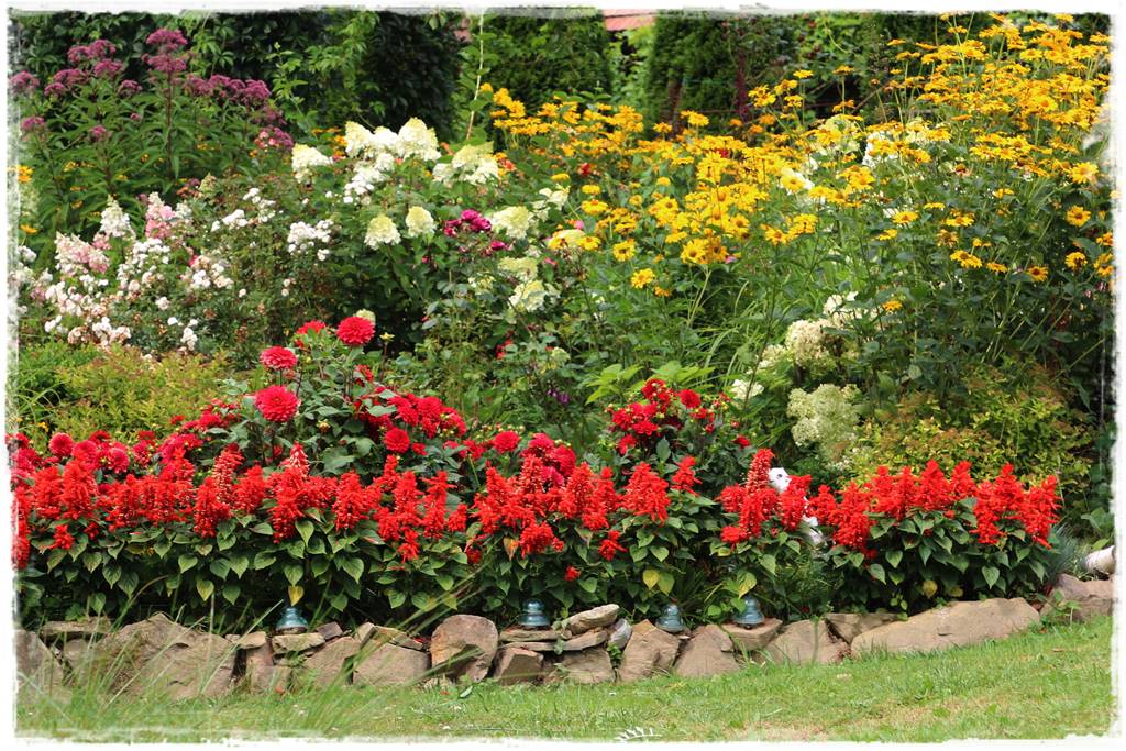 Rośliny jednoroczne aranżacje 5e Rośliny jednoroczne aranżacje 5e