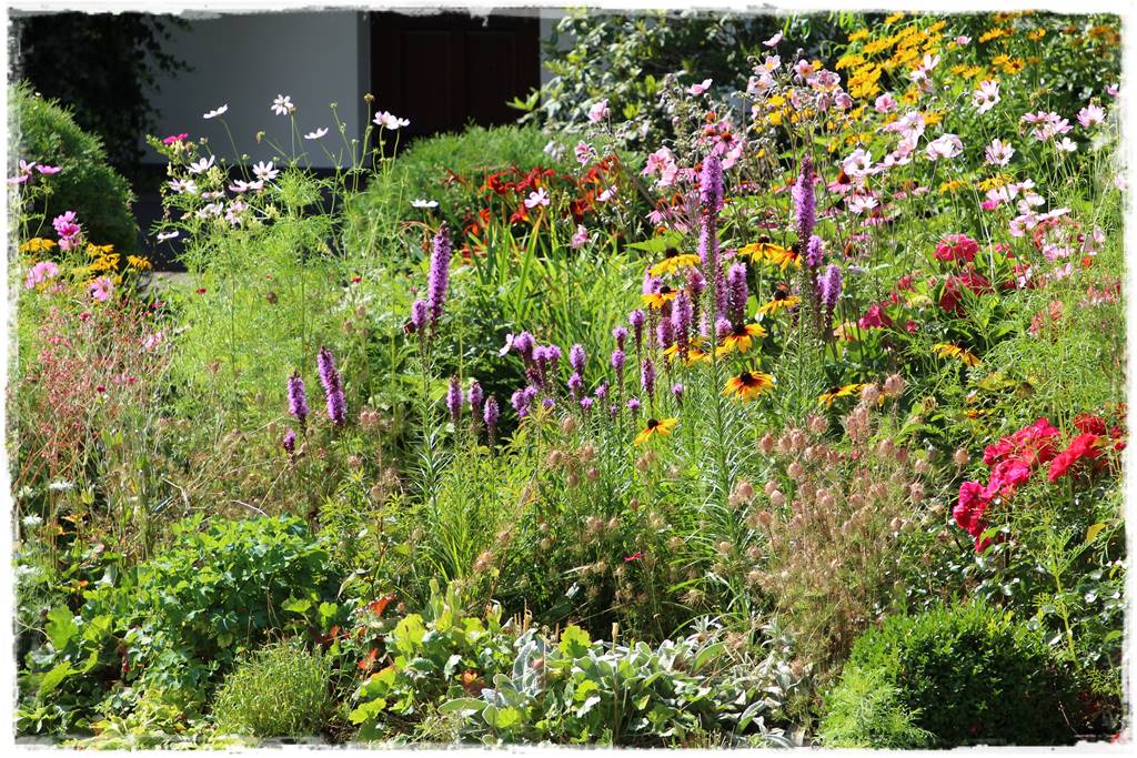 Rośliny jednoroczne aranżacje 5g Rośliny jednoroczne aranżacje 5g