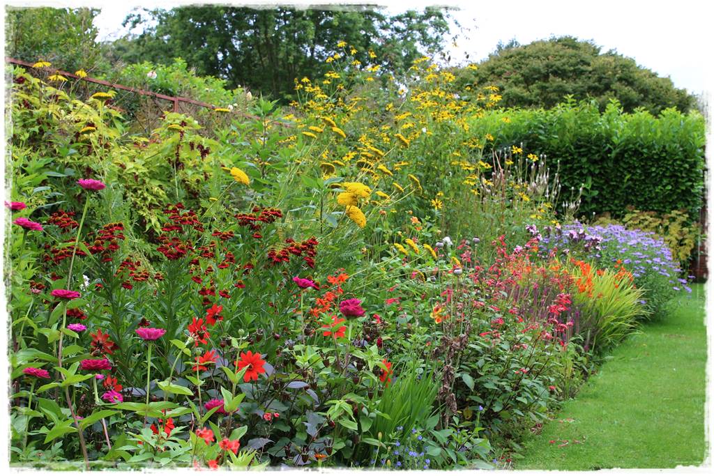 Rośliny jednoroczne aranżacje 5k Rośliny jednoroczne aranżacje 5k