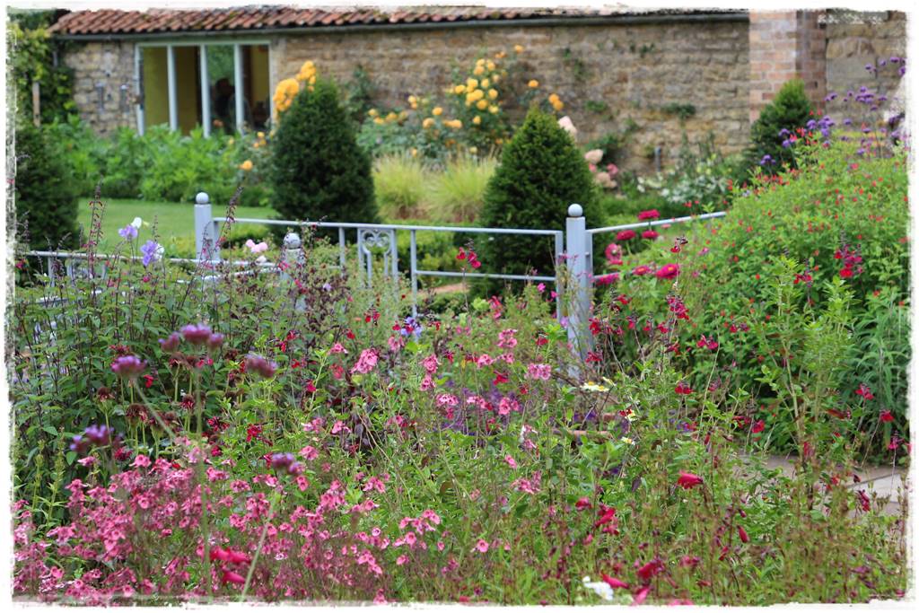 Rośliny jednoroczne aranżacje 6 Rośliny jednoroczne aranżacje 6