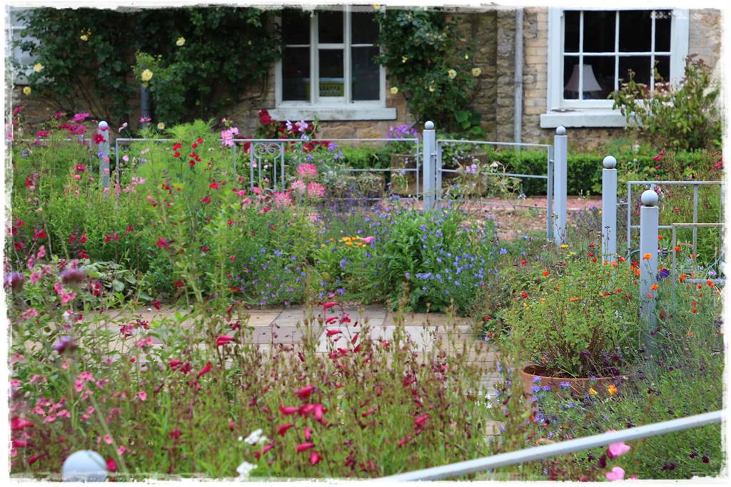 Rośliny jednoroczne aranżacje 6a Rośliny jednoroczne aranżacje 6a
