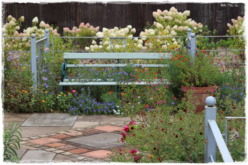 Rośliny jednoroczne aranżacje 6b Rośliny jednoroczne aranżacje 6b