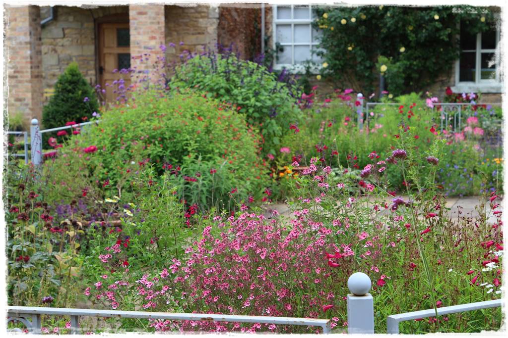 Rośliny jednoroczne aranżacje 6c Rośliny jednoroczne aranżacje 6c