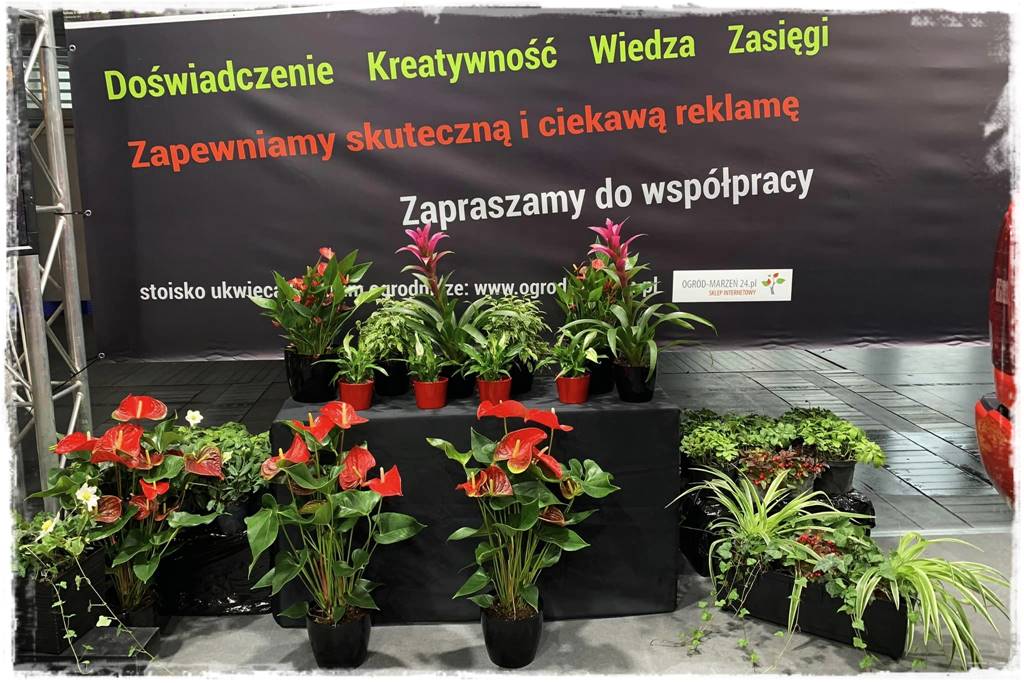 Targi Gardenia 2023 12 Targi Gardenia 2023 12