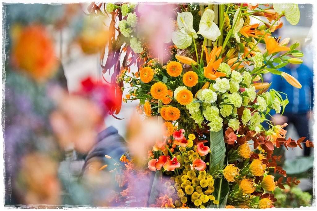 Targi Gardenia 2023 31 Targi Gardenia 2023 31