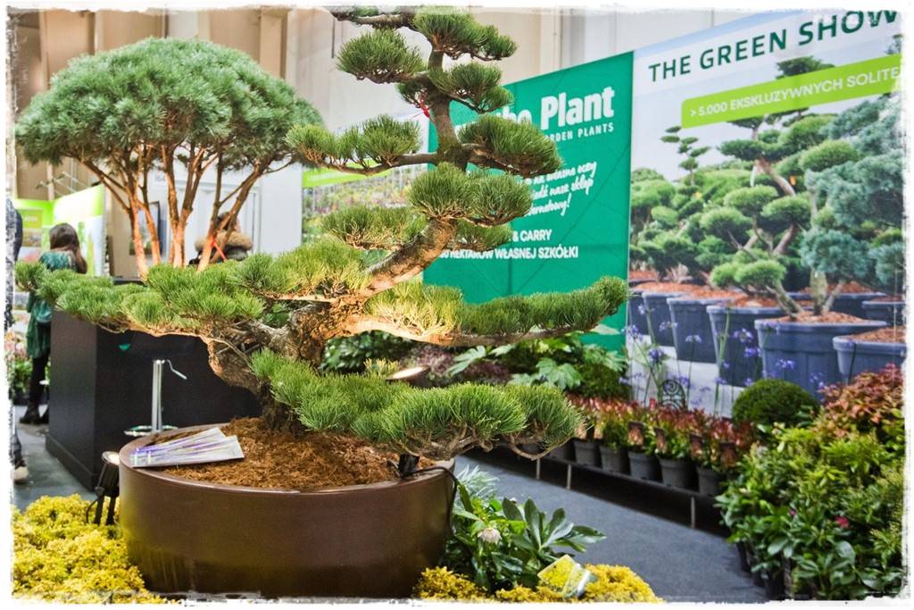 Targi Gardenia 2023 37 Targi Gardenia 2023 37