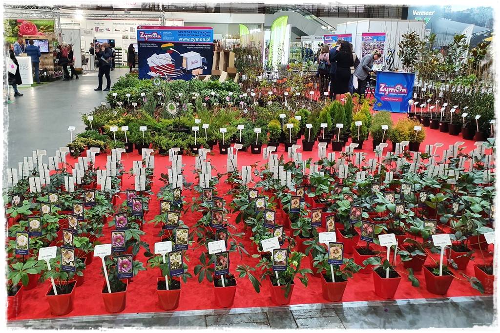 Targi Gardenia 2023 41 Targi Gardenia 2023 41