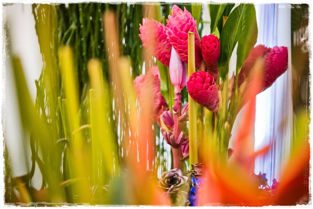 Targi Gardenia 2023 43 Targi Gardenia 2023 43