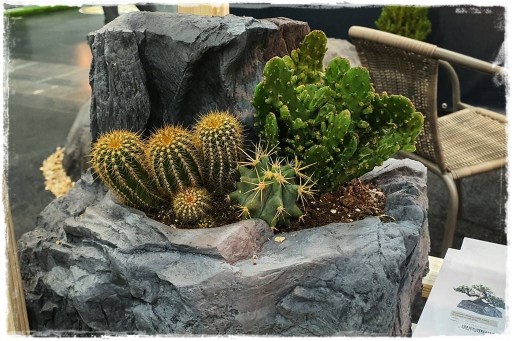 Targi Gardenia 2023 46 Targi Gardenia 2023 46