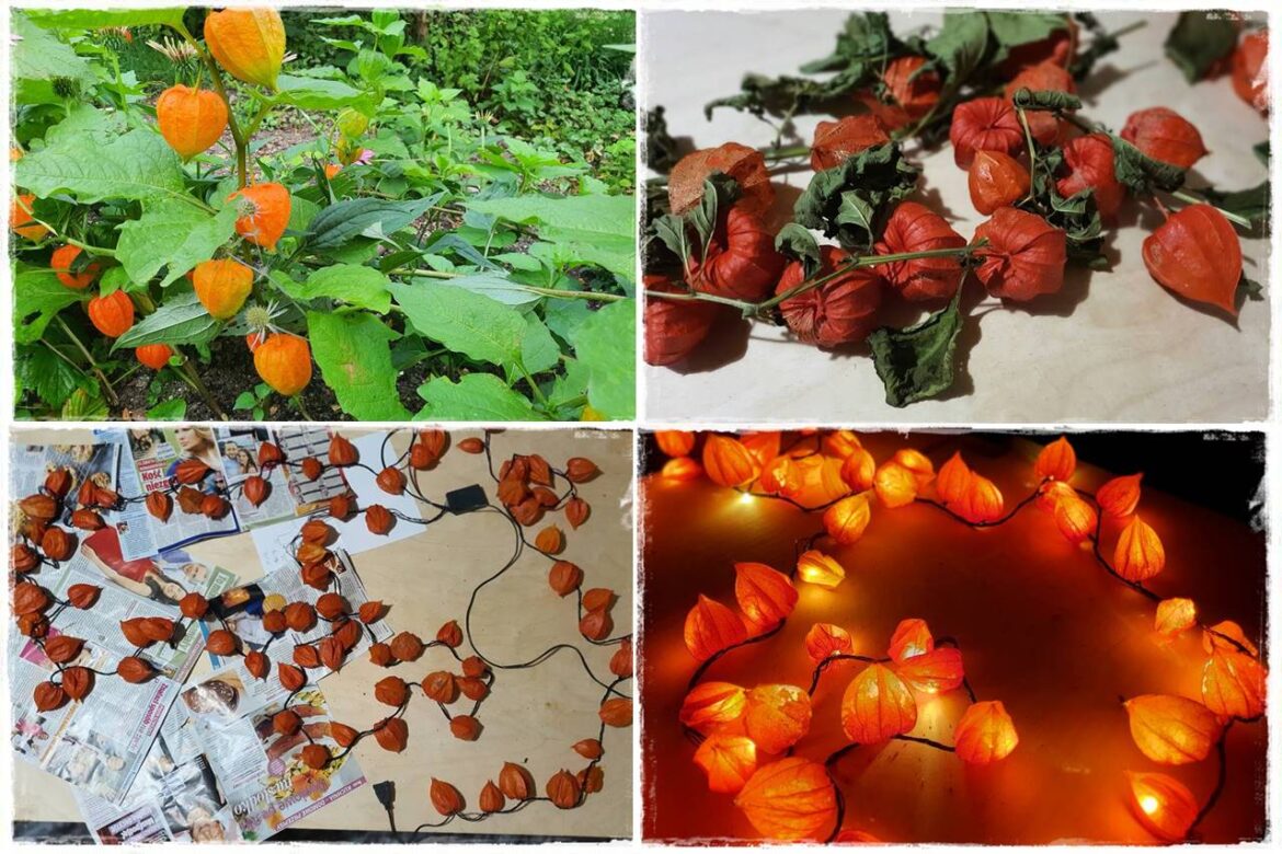 naturalne ozdoby świąteczne 1