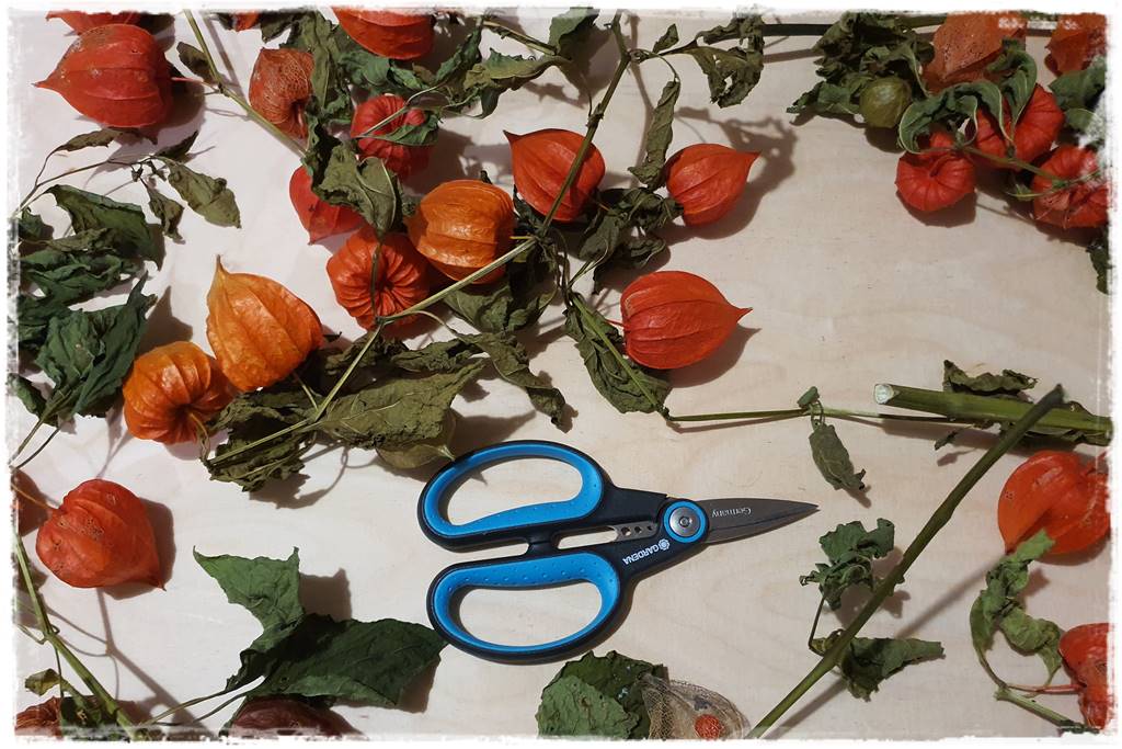 naturalne ozdoby świąteczne 10