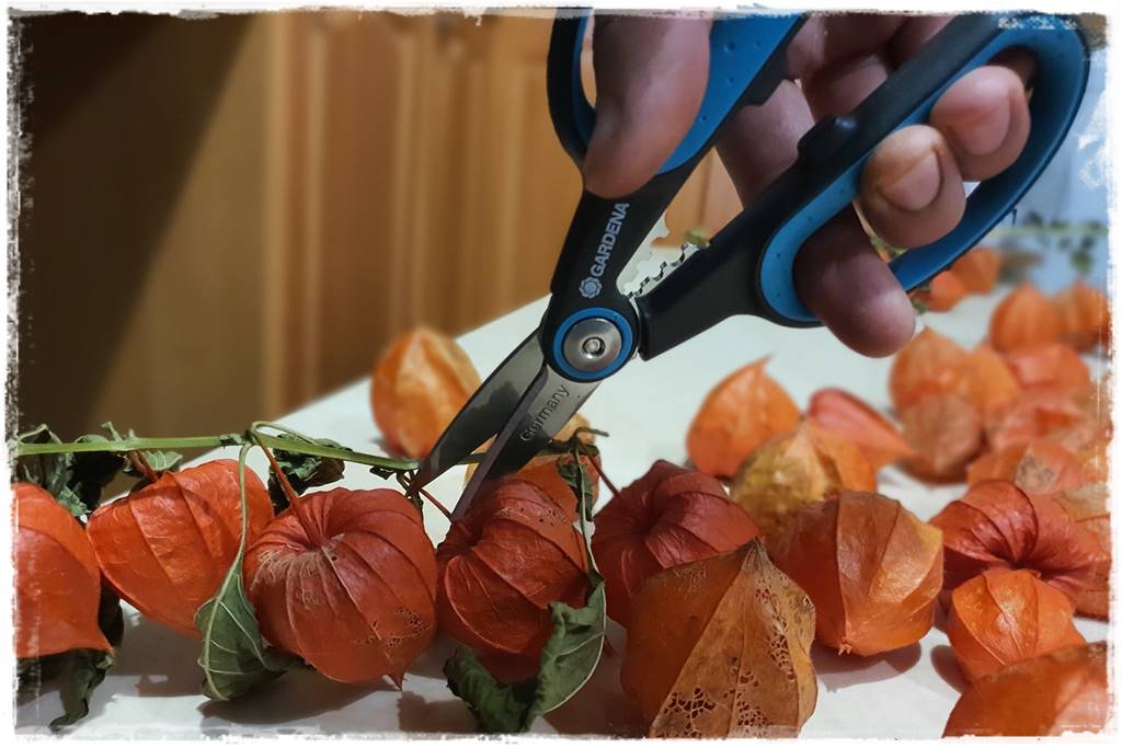 naturalne ozdoby świąteczne 12 naturalne ozdoby świąteczne 12