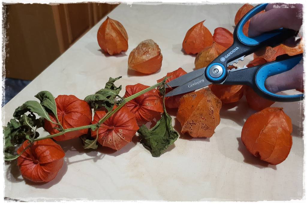 naturalne ozdoby świąteczne 13 naturalne ozdoby świąteczne 13