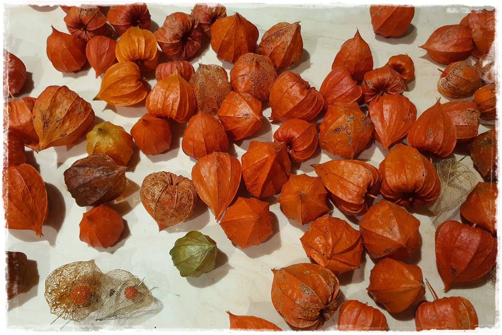 naturalne ozdoby świąteczne 14 naturalne ozdoby świąteczne 14