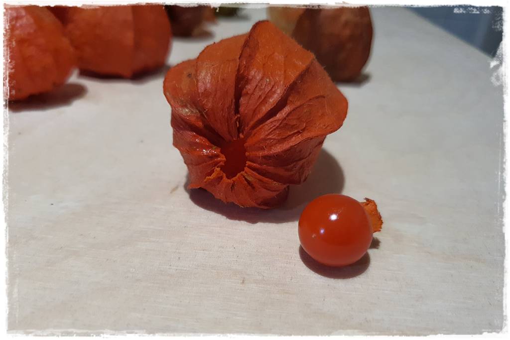 naturalne ozdoby świąteczne 15 naturalne ozdoby świąteczne 15