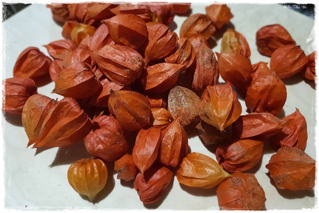 naturalne ozdoby świąteczne 16 naturalne ozdoby świąteczne 16