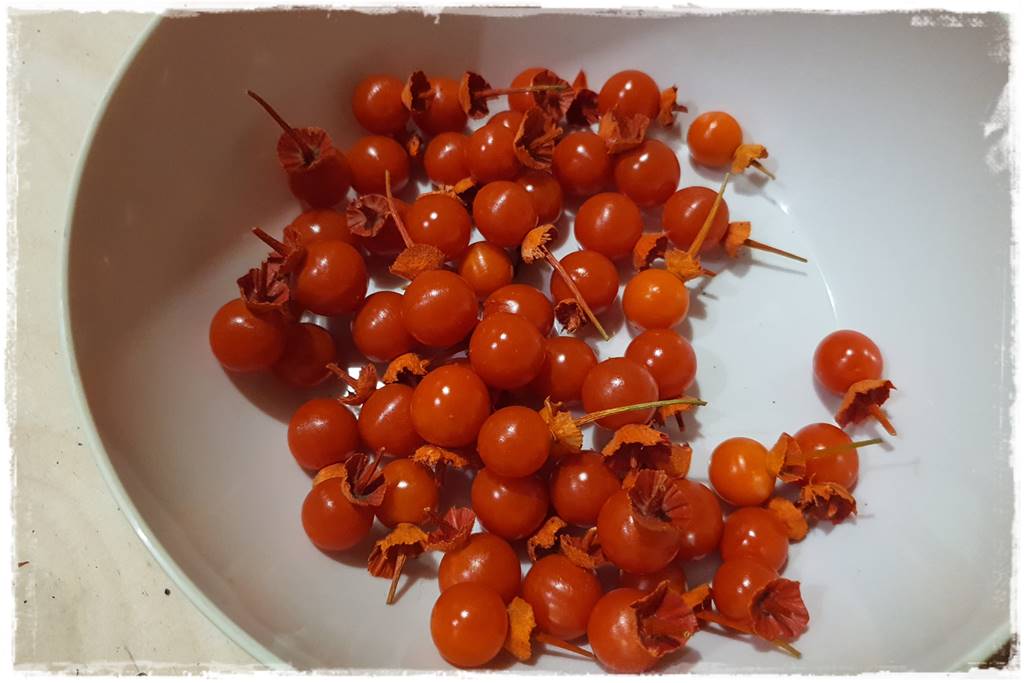 naturalne ozdoby świąteczne 17 naturalne ozdoby świąteczne 17