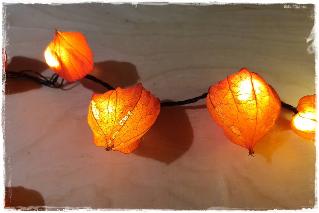 naturalne ozdoby świąteczne 21 naturalne ozdoby świąteczne 21