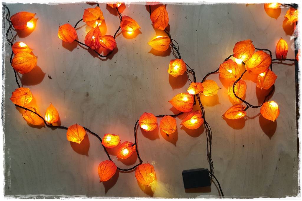 naturalne ozdoby świąteczne 22 naturalne ozdoby świąteczne 22