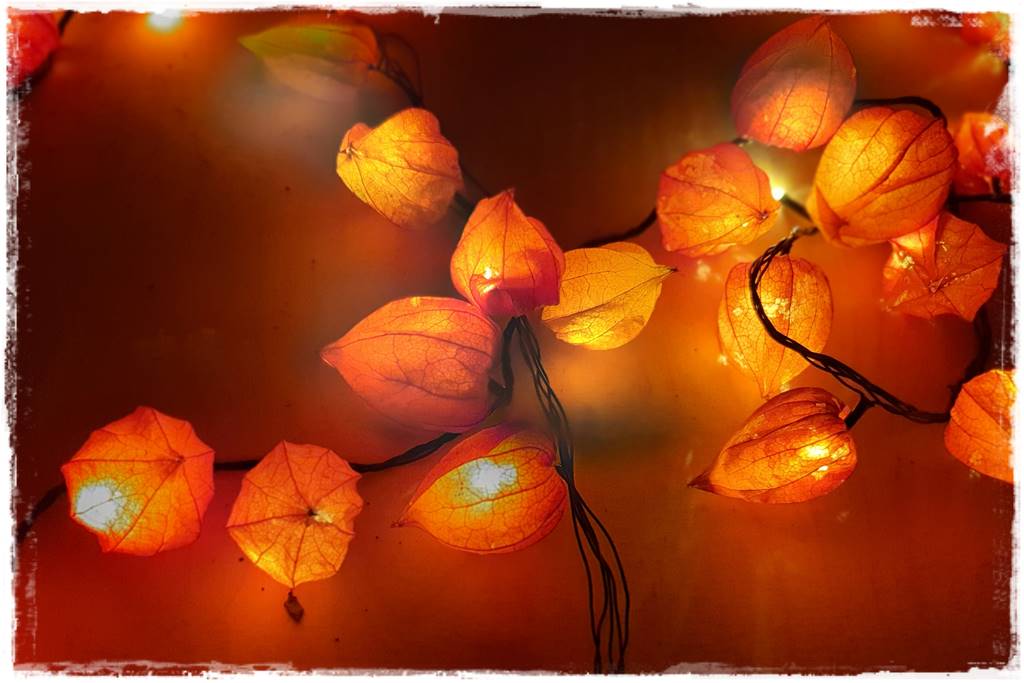 naturalne ozdoby świąteczne 23 naturalne ozdoby świąteczne 23