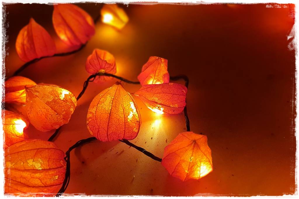 naturalne ozdoby świąteczne 24 naturalne ozdoby świąteczne 24