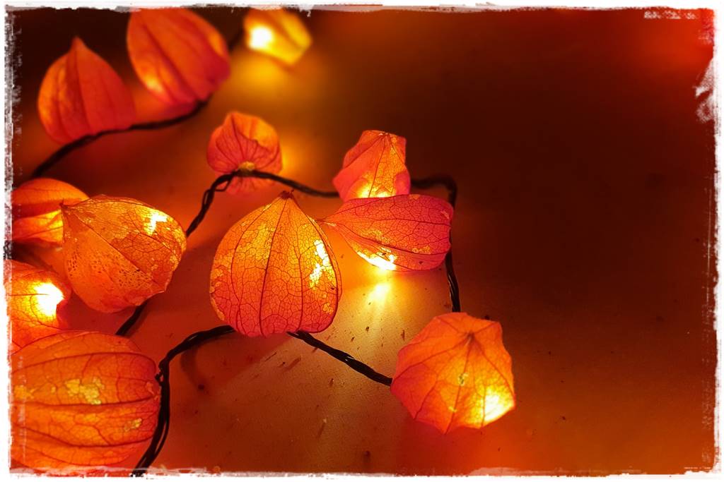 naturalne ozdoby świąteczne 2a