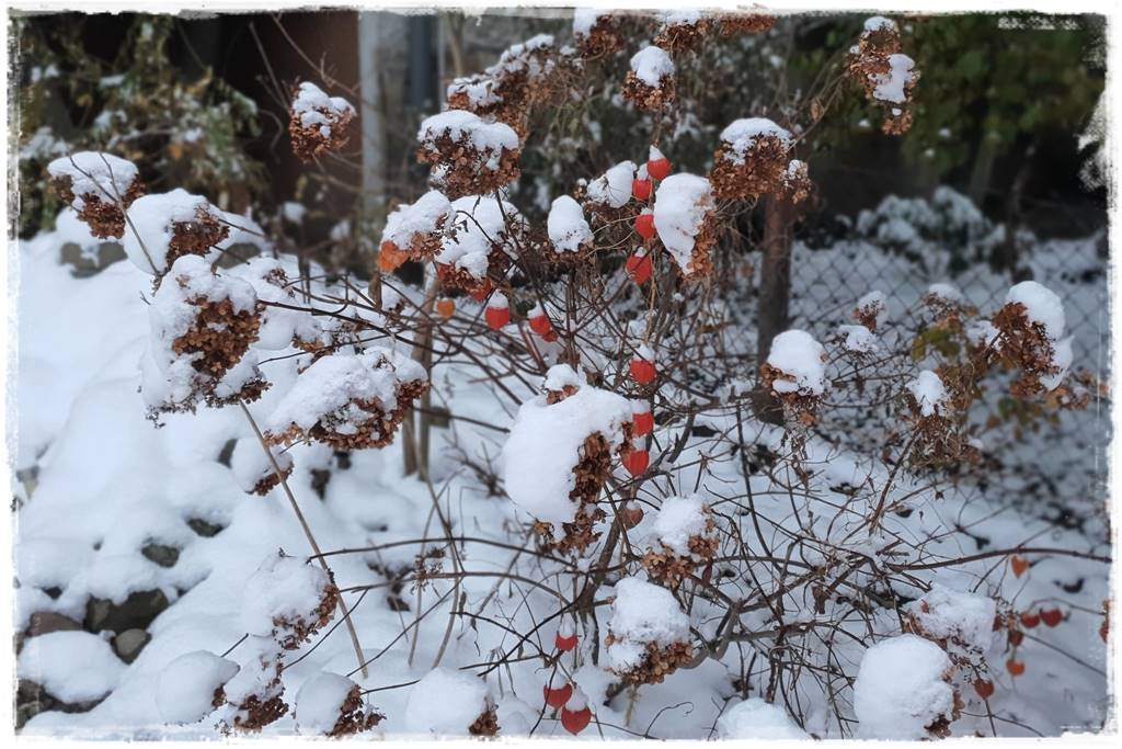 naturalne ozdoby świąteczne 5 naturalne ozdoby świąteczne 5