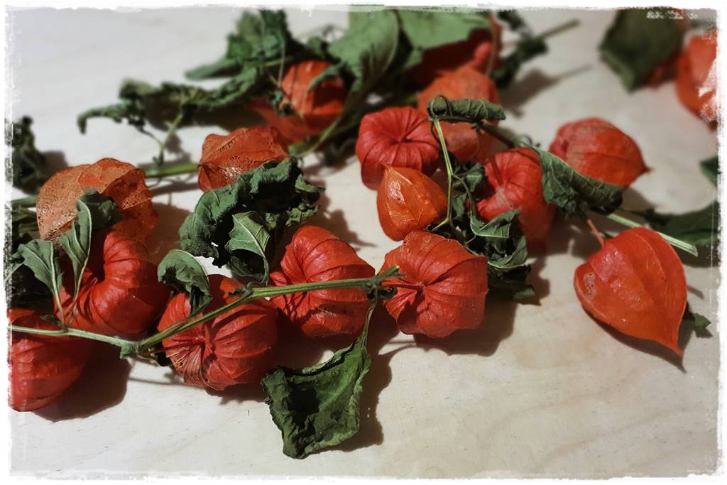 naturalne ozdoby świąteczne 6