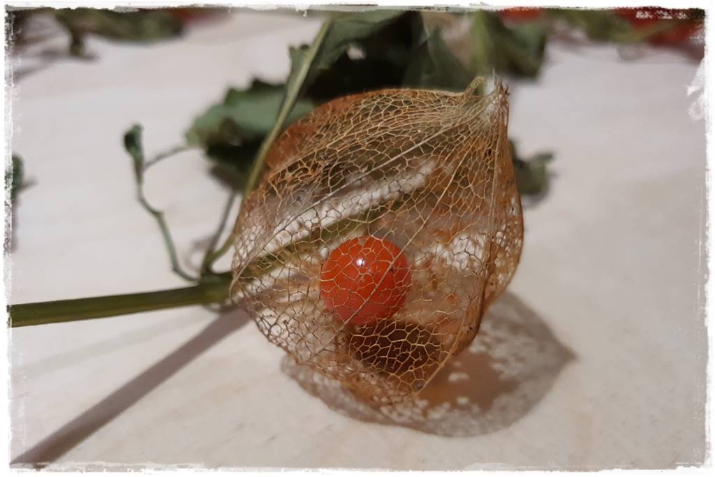 naturalne ozdoby świąteczne 7