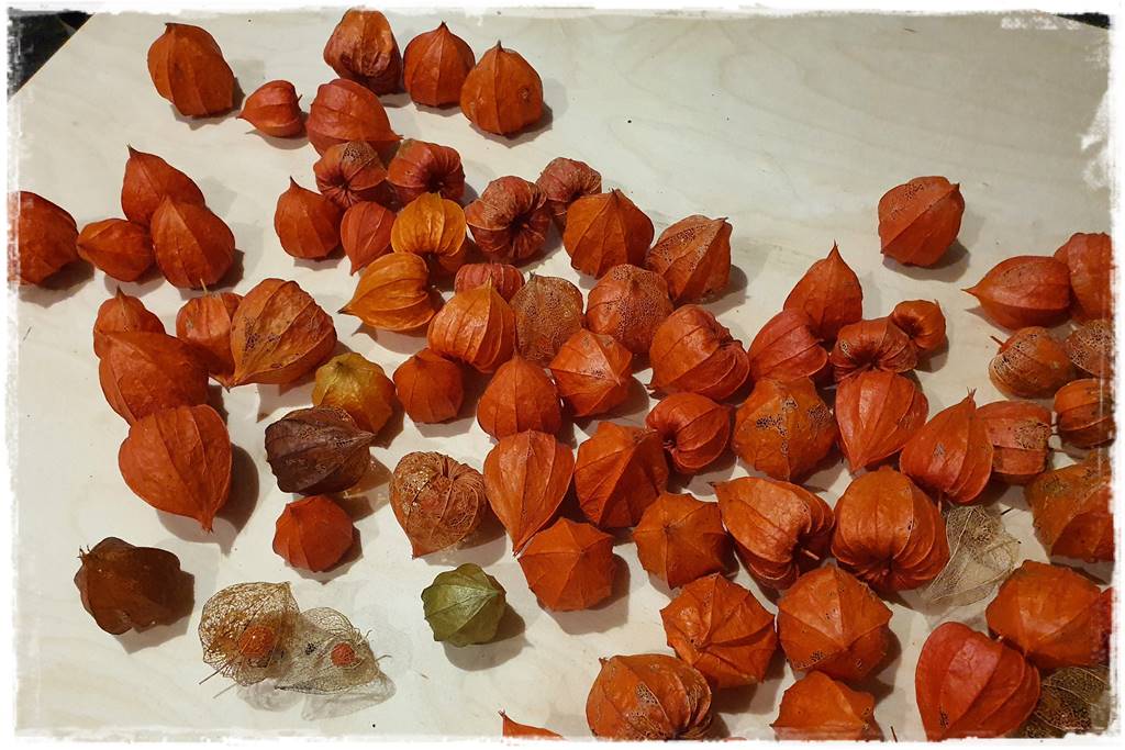 naturalne ozdoby świąteczne 9