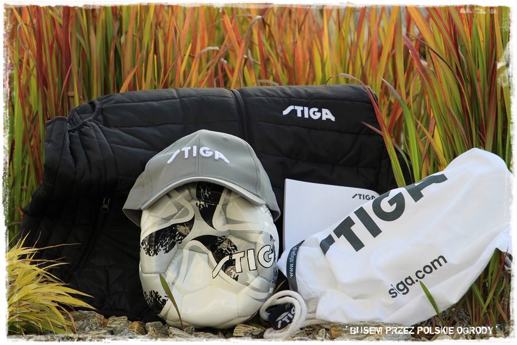 nowoczesne rabaty 201