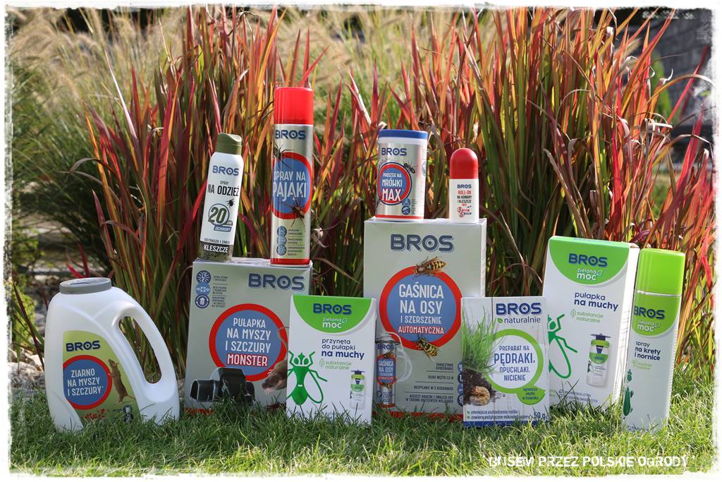 nowoczesne rabaty 202